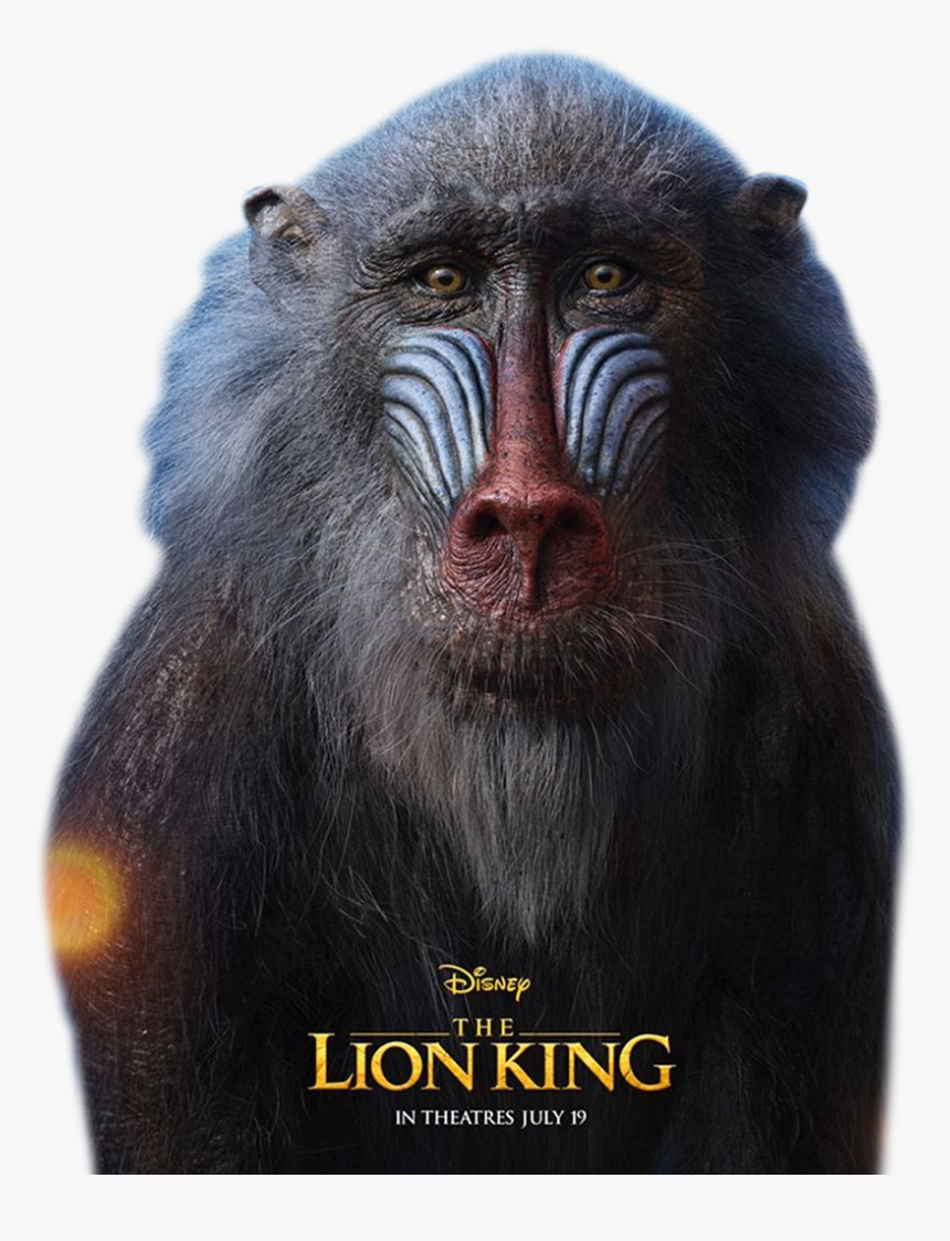 #rafiki #thelionking #lionking #disney #mandrel #monkey - Lion King Movie Rafiki, HD Png Download, Free Download