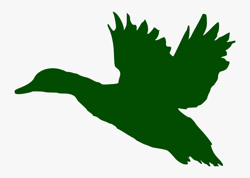 Duck Stencil Waterfowl Hunting Silhouette Image - Flying Duck Svg, HD Png Download, Free Download