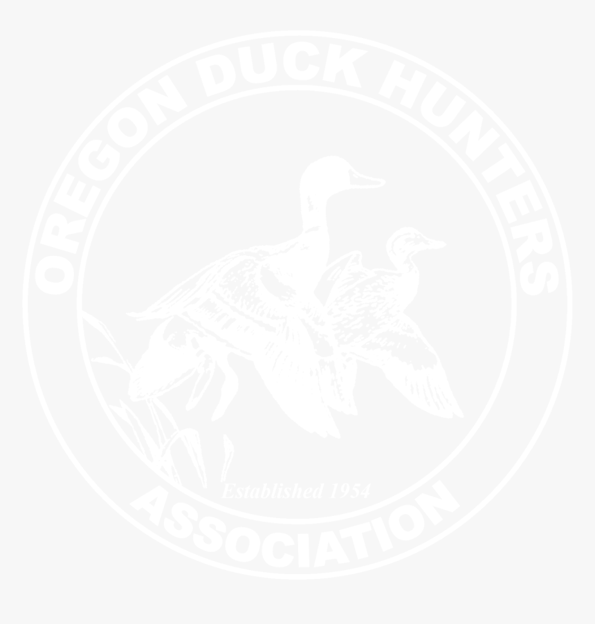 Oregon Duck Hunters Association - Duck, HD Png Download, Free Download