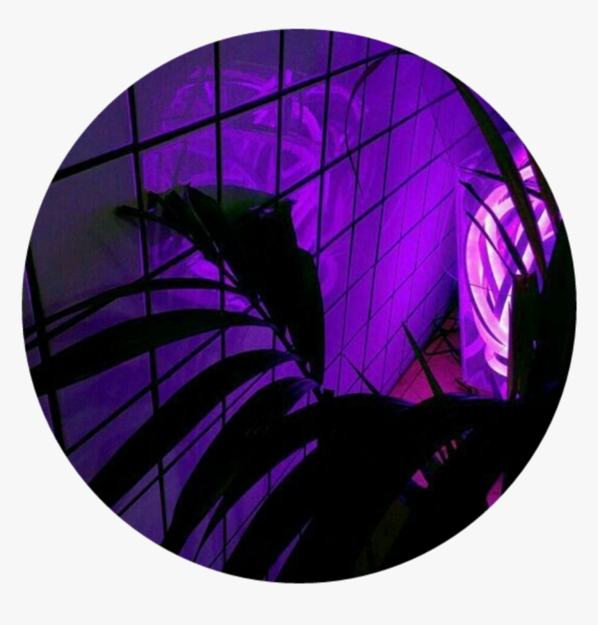 #circle #png #plant #purple #aesthetic #tumblr #light - Dark Purple Black And Purple Aesthetic, Transparent Png, Free Download
