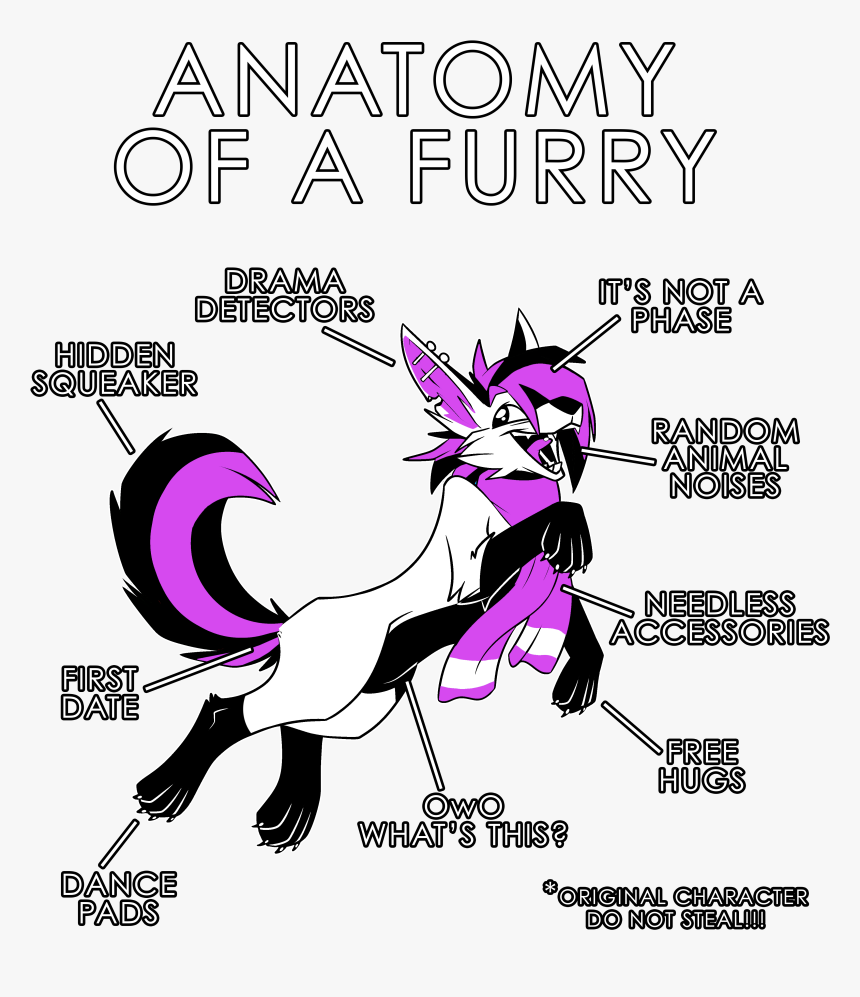 Anatomy Of A Furry, HD Png Download, Free Download