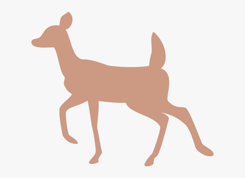 Doe And Fawn Silhouette - Transparent Background Doe Silhouette Png, Png Download, Free Download