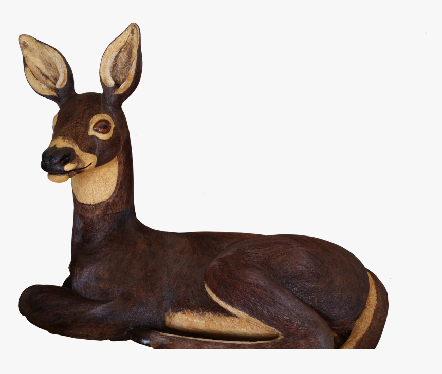 Roe Deer, HD Png Download, Free Download