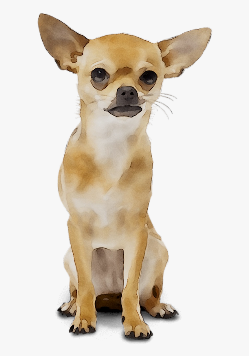 Chihuahua Russkiy Breed Dog Toy Wedding Organizer Clipart - Clip Art, HD Png Download, Free Download