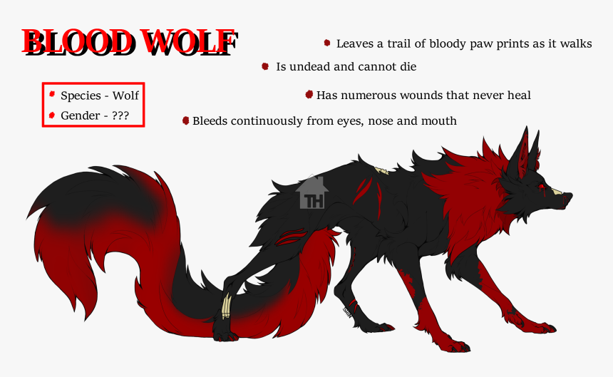 Wolf, HD Png Download, Free Download