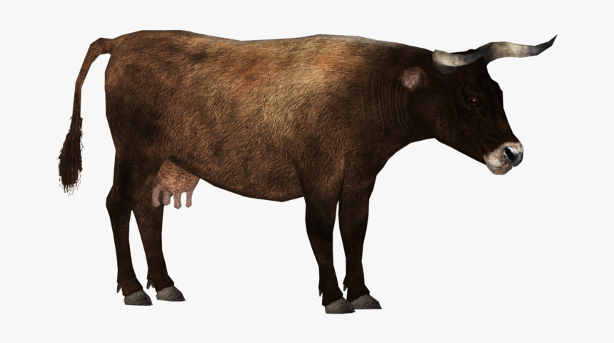 Aurochs - Zoo Tycoon 2 Cattle, HD Png Download, Free Download