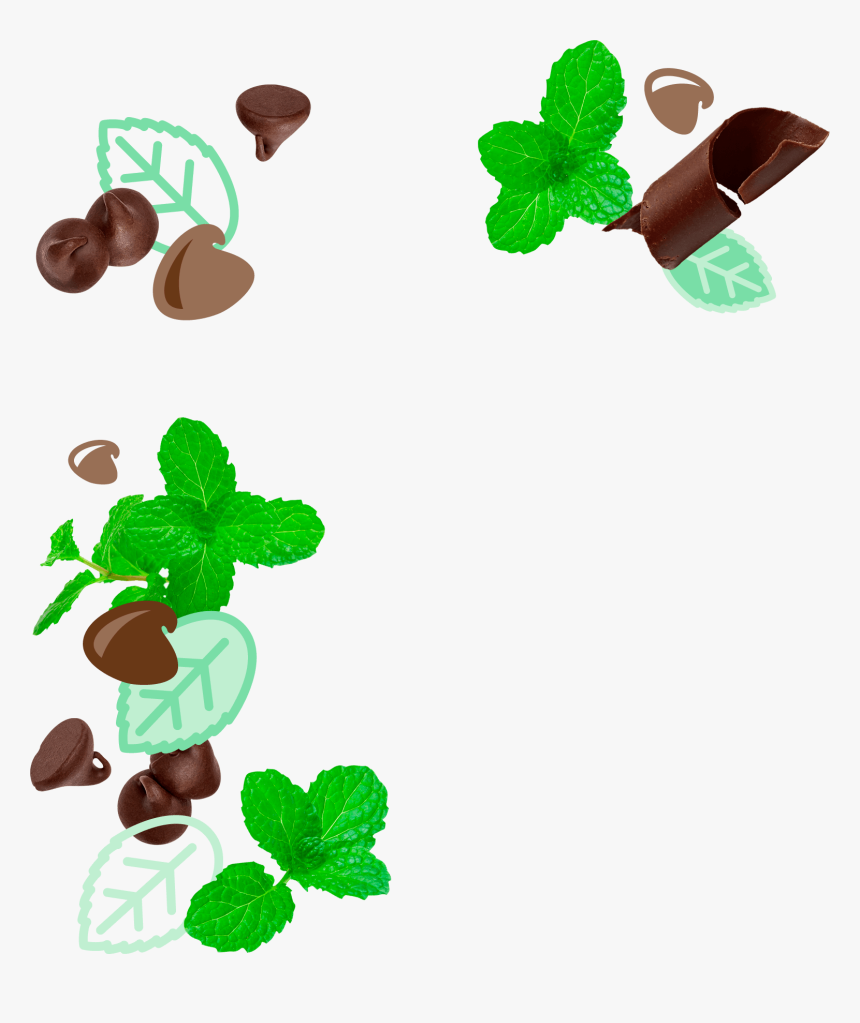 Mymo Mint Chocolate, HD Png Download, Free Download