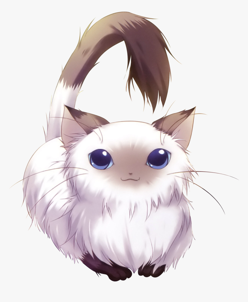 Adorable Anime Cats - Cat Renders, HD Png Download, Free Download