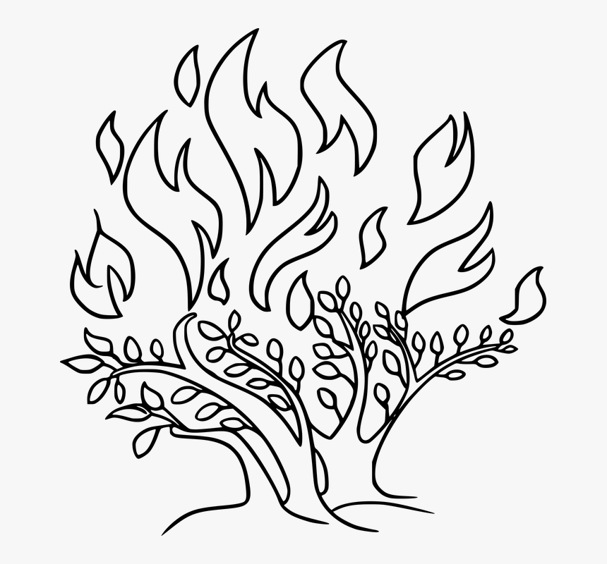 Bible, Burn, Burning Bush, Fire, God, I Am, Life, Moses - Burning Bush Black And White, HD Png Download, Free Download