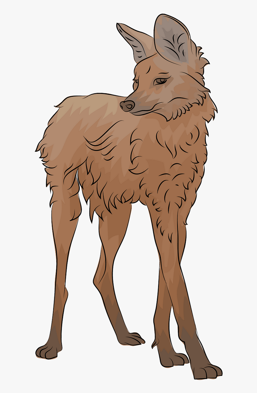 Llama, HD Png Download, Free Download