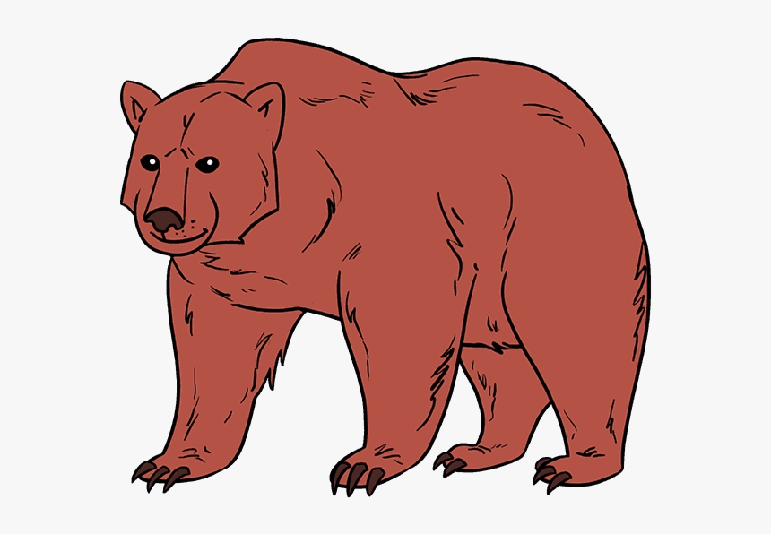 Easy Sun Bear Clipart Realistic Brown Drawing Free - Draw A Brown Bear, HD Png Download, Free Download