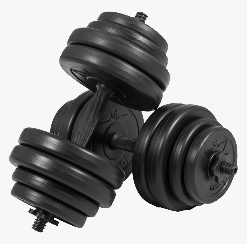 Hantel Png - Gym Dumbbell Png, Transparent Png, Free Download