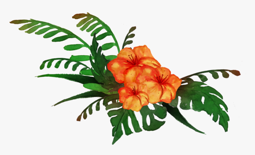 Transparent Tropical Plant Clipart - Transparent Background Tropical Clipart, HD Png Download, Free Download