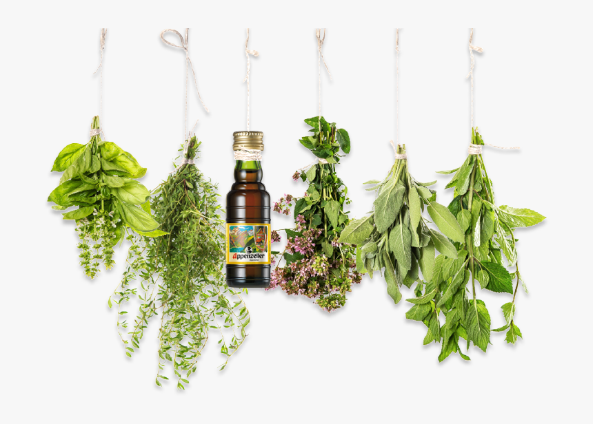 Transparent Herbs Clipart - Aromatherapy Png, Png Download, Free Download