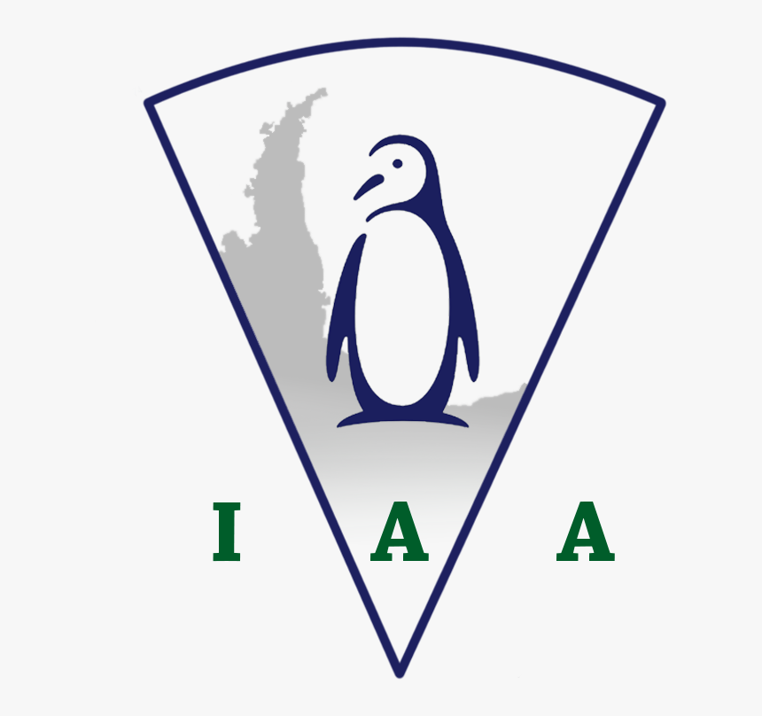 Instituto Antartida Argentina - Adã©lie Penguin, HD Png Download, Free Download