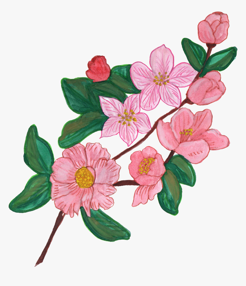Flowers Images Painted Png, Transparent Png, Free Download