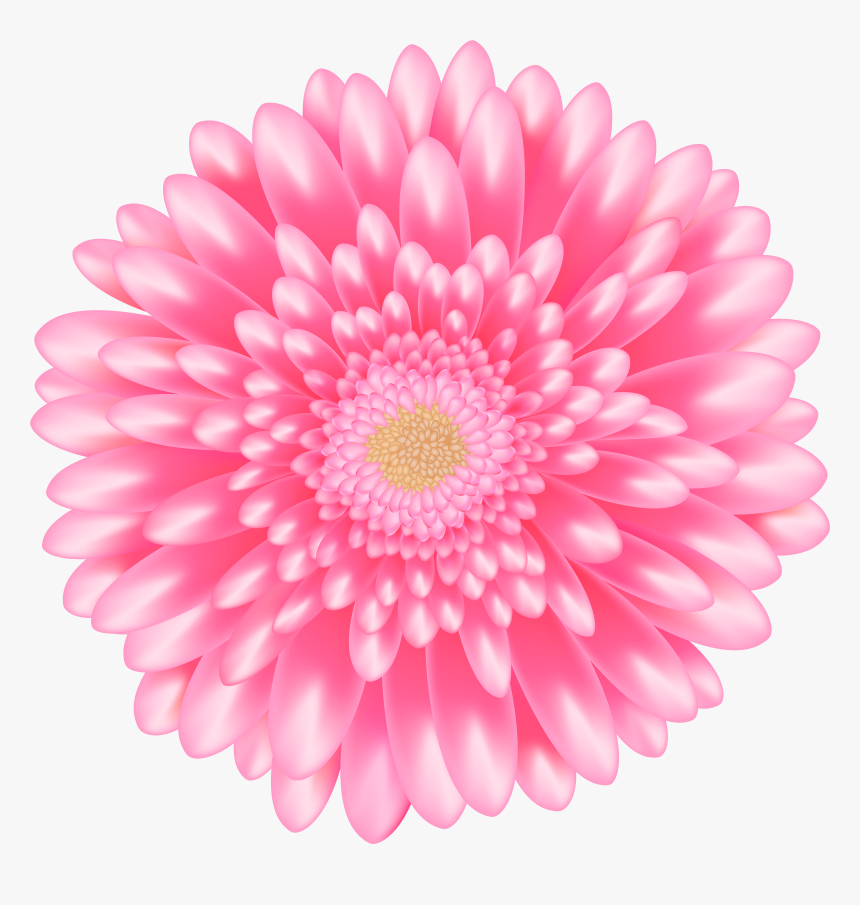 Transparent Daisy Flower Png - Portable Network Graphics, Png Download, Free Download