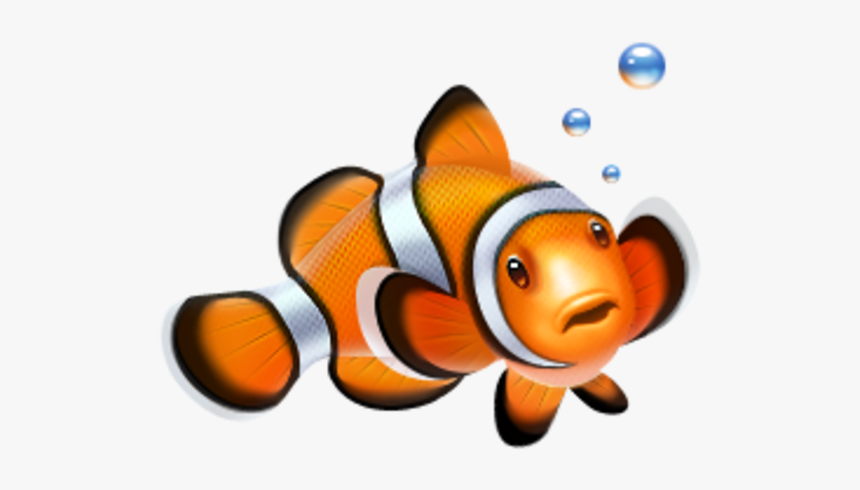 Tropical Fish Ico, HD Png Download, Free Download