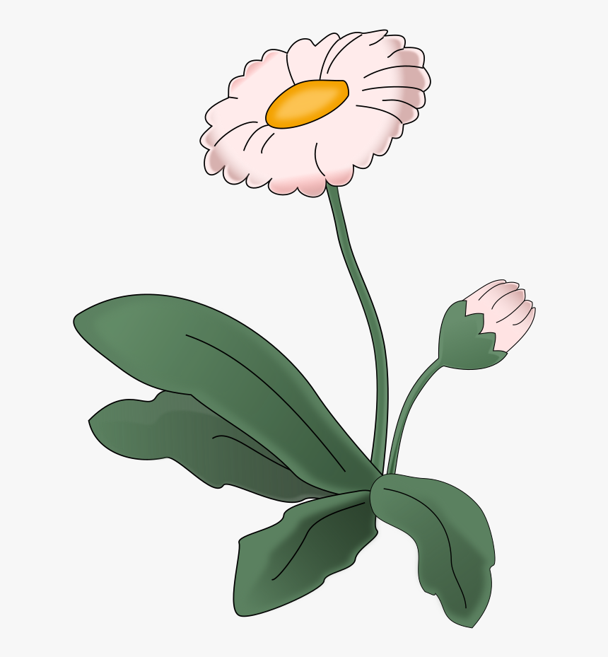 Flower Daisy Clip Arts - Illustration, HD Png Download, Free Download
