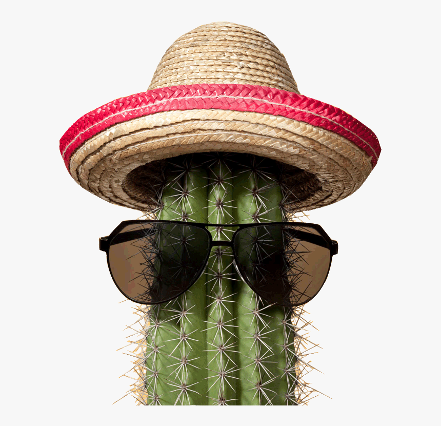 Cactus, HD Png Download, Free Download