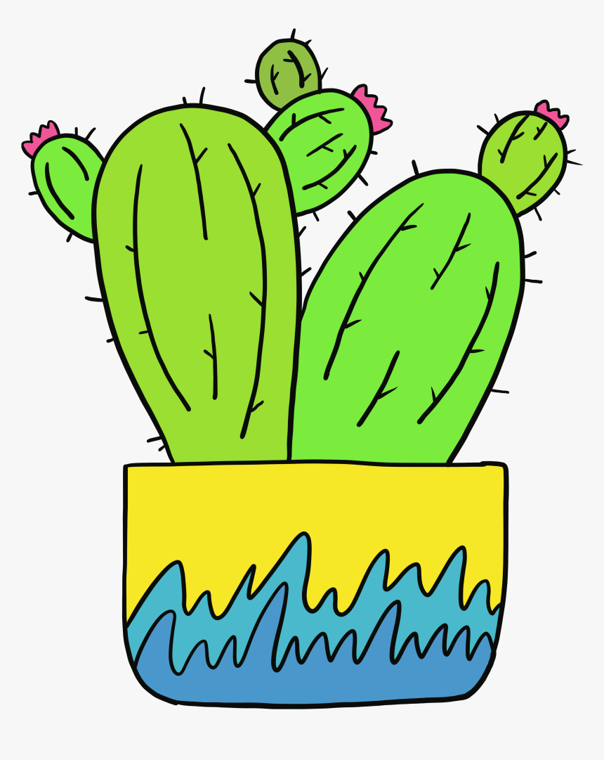 Dream Cactus Online Gift Shop, HD Png Download, Free Download