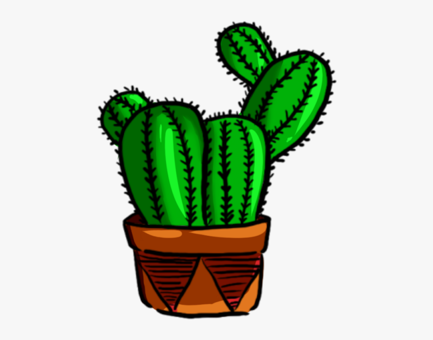 Green Plant Png And - Cactus, Transparent Png, Free Download