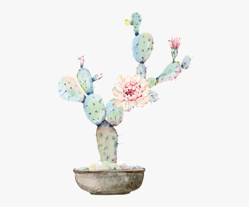 Cactus, Torn, Green, Flower - Cactus And Flowers Water Color, HD Png Download, Free Download