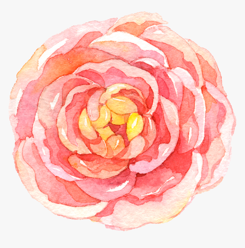 Transparent Japanese Flowers Png - Watercolor Camellia Flower Drawing, Png Download, Free Download