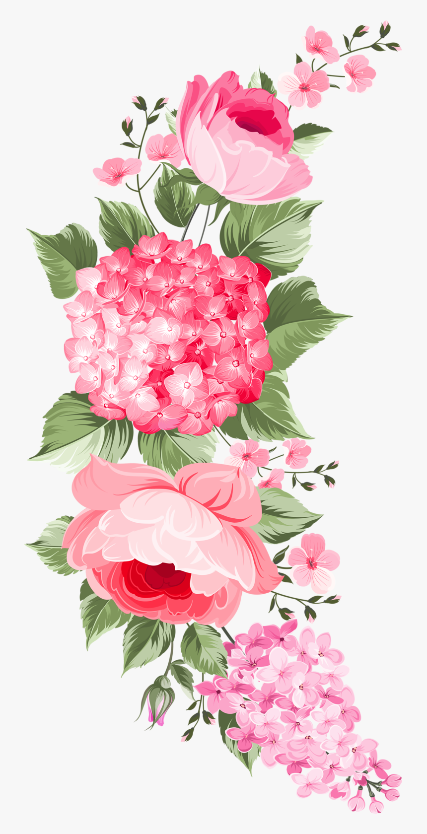 Olga Schefer Art - Flower Circle Border Png, Transparent Png, Free Download