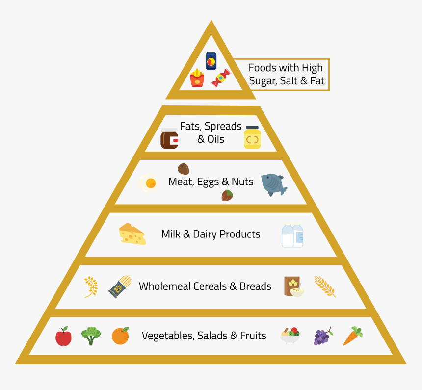 The Pyramid Bifurcates The Different Food Groups And - Hierarchy Of Operations Maths, HD Png Download, Free Download