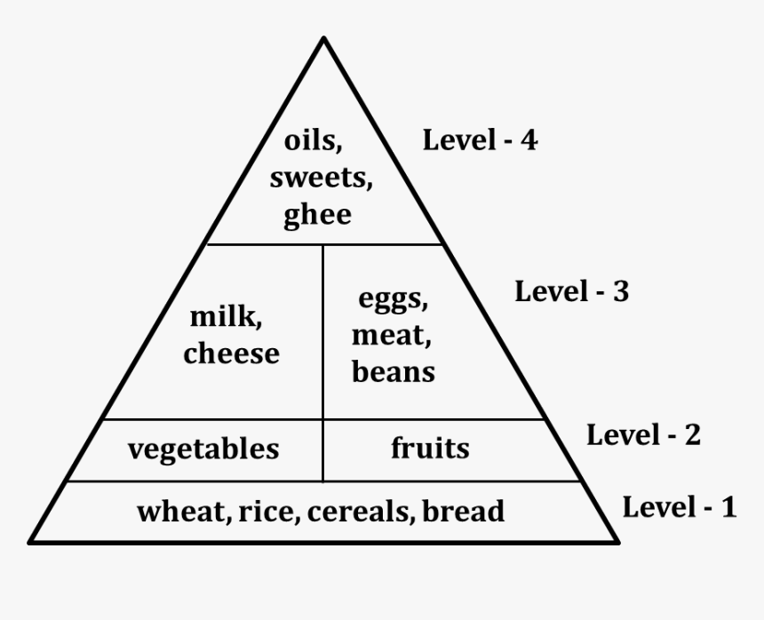 Figure Shows The Food Pyramid, HD Png Download, Free Download