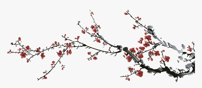 Cherry Tree And Birds Drawing, HD Png Download, Free Download