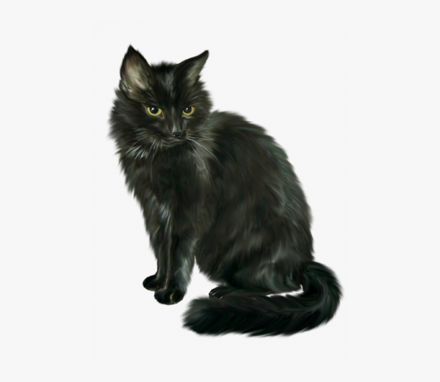 Chat Noir - Long Hair Black Cat, HD Png Download, Free Download