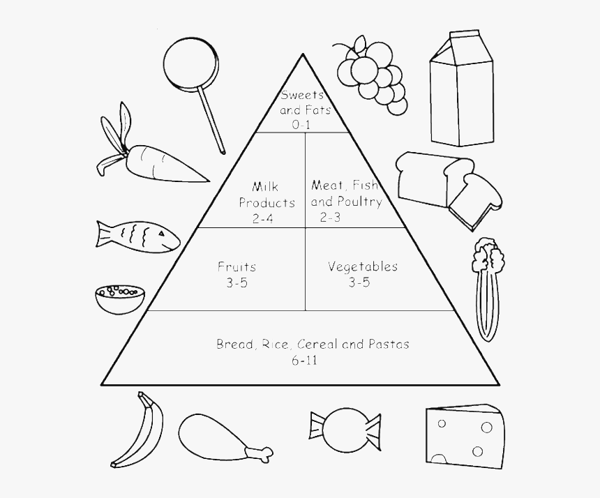 Food Pyramid Worksheets For Grade 3, HD Png Download, Free Download