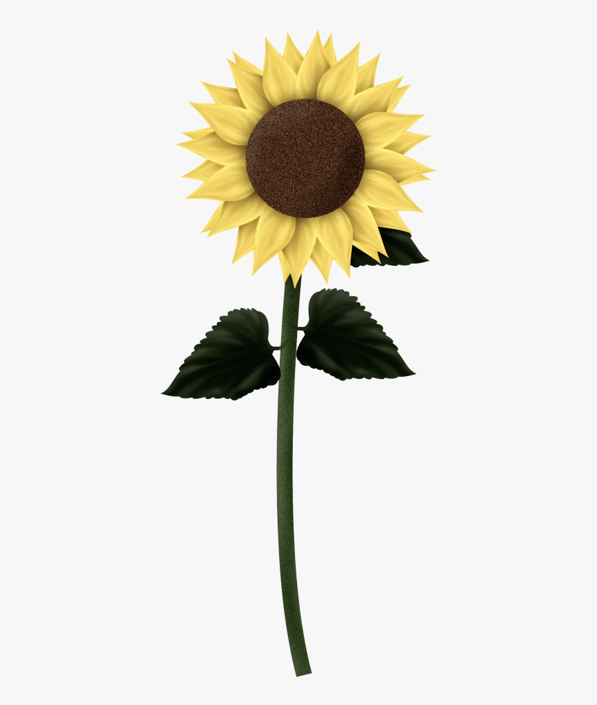 Download Sunflowers Png Clipart - Sunflower Clip Art Square Border, Transparent Png, Free Download