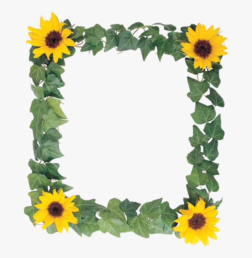 Transparent Sunflower Border Clipart - Sun Flower Frame Hd Png, Png Downloa...