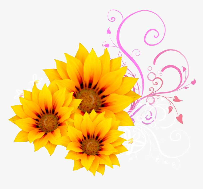 Sunflower And Pink Flowers, HD Png Download, Free Download