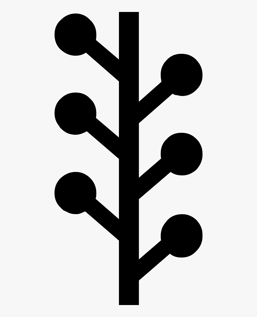 Tree Graphic Organizer - Graph Tree Icon, HD Png Download, Free Download