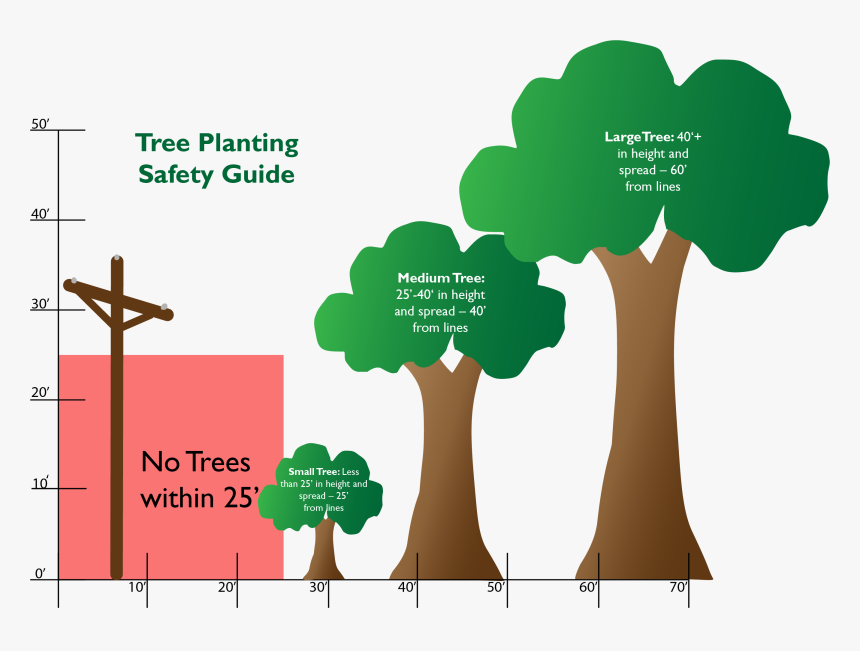 Tree Graphic - Safe Tree, HD Png Download, Free Download