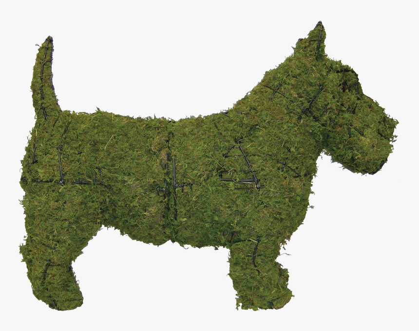 Scottish Terrier Lakeland Terrier Cairn Terrier Labrador - West Highland White Terrier, HD Png Download, Free Download