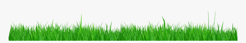 Transparent Image Of Grass, HD Png Download, Free Download