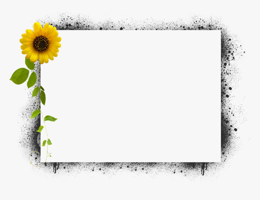 #border #3d #frames #sunflower #leaves - Transparent Frames, HD Png Download, Free Download