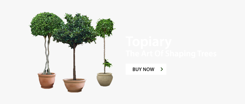 Imgslider - Flowerpot, HD Png Download, Free Download