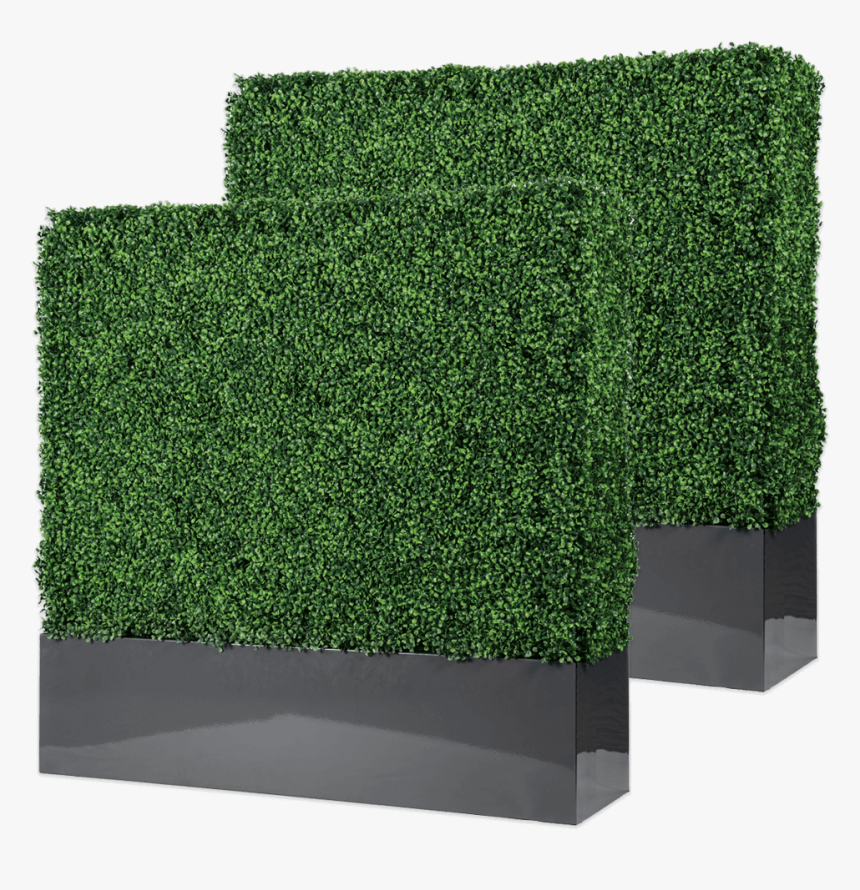 Boxwood Hedge Shrubs Artificial Png - Hedge, Transparent Png, Free Download