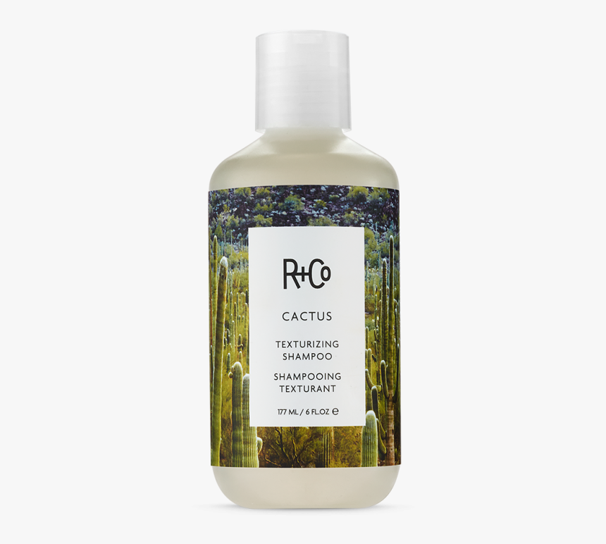 R Co Cactus Texturizing Shampoo, HD Png Download, Free Download