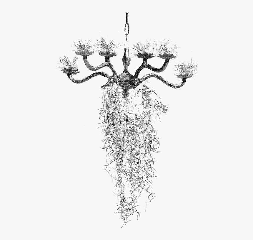 Chandeliers Png , Png Download - Chandelier, Transparent Png, Free Download