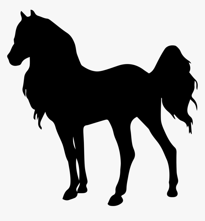 Horse Standing Young Animal Shape Of Long Hair - Horse Silhouette Long Hair, HD Png Download, Free Download