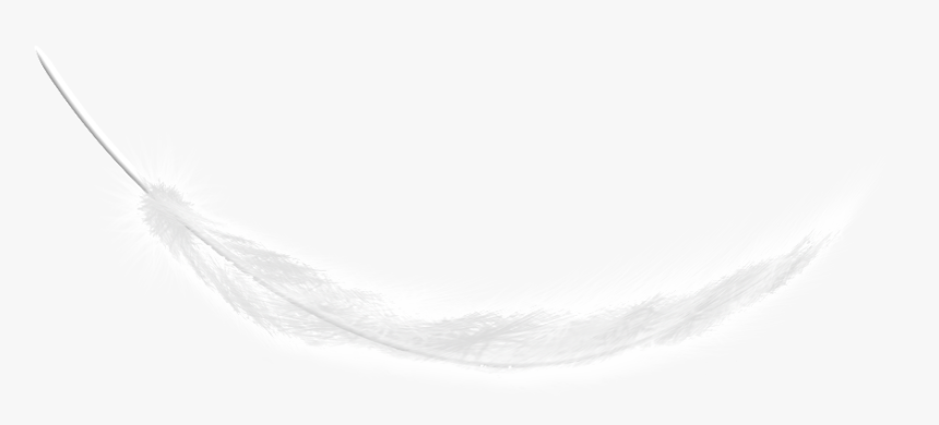 This Graphics Is White Feathers Fall Transparent About - Darkness, HD Png Download, Free Download