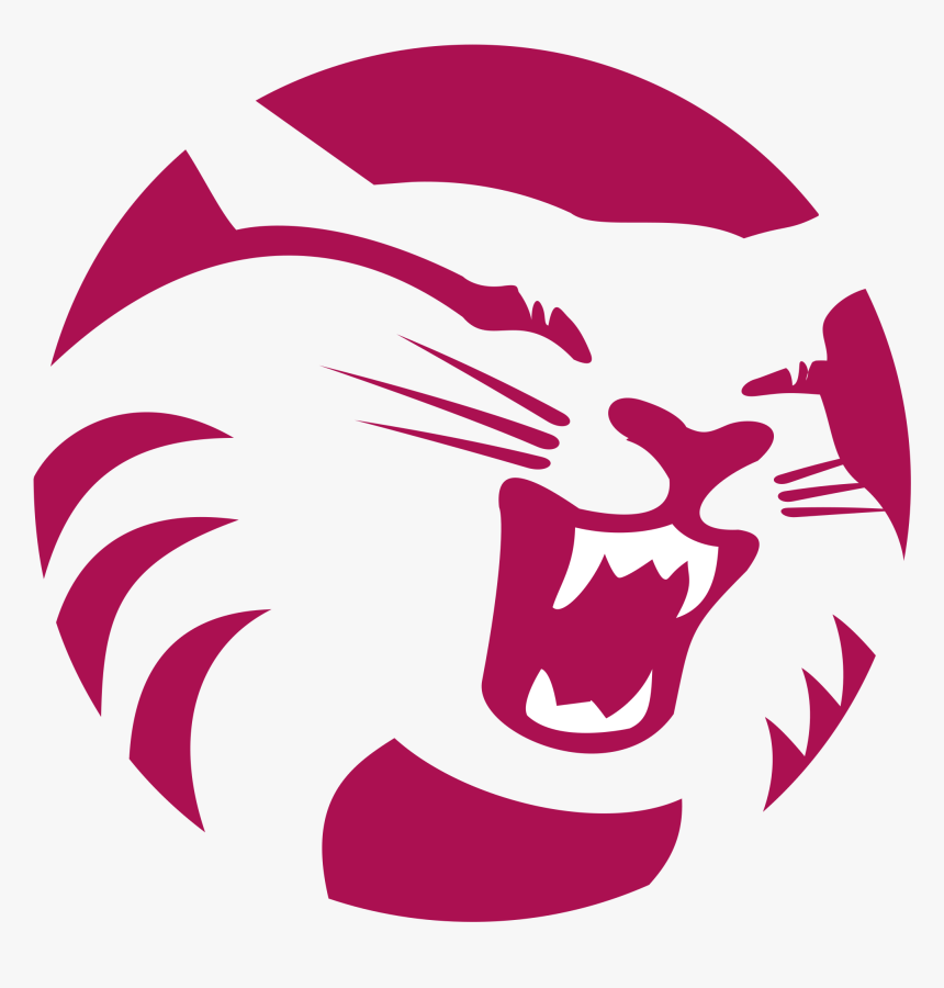 Wildcat Athletics Logo Png Transparent - Chico Wildcat, Png Download, Free Download
