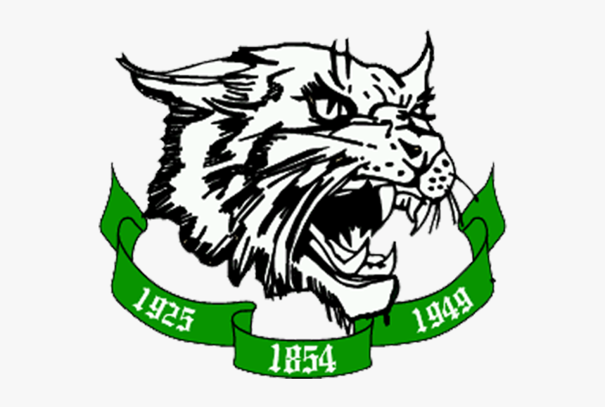 Arundel High School Wildcats, HD Png Download, Free Download